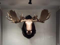 -Abercrombie & Fitch(天环广场店)