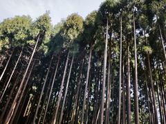 -太阳湾风景区