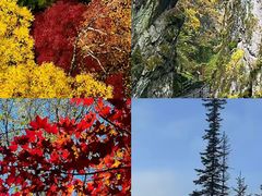 -五营红松林海景区