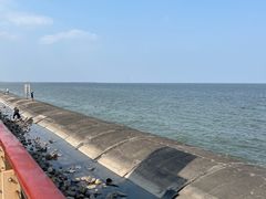 -东疆建设开发纪念公园