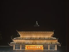 -济南方特东方神画