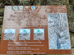 -萍乡武功山风景名胜区