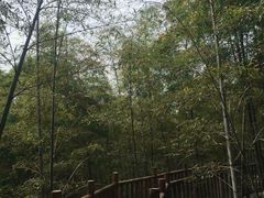 -陶祖圣境风景区