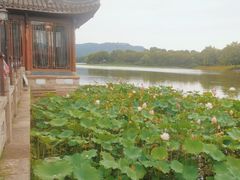 -湘湖大院(越王路店)