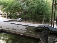 -中家鑫园温泉酒店鑫悦汤泉