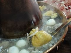 -东镇老火锅(长春路首店)