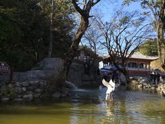 -塔云山