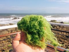 -青岛银沙滩