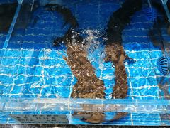 -一江春水·杭帮臻宴(三台山店)