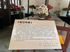 -上海醉白池公园