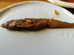 -丰乐餐厅·始于1999·本地老字号