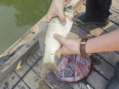 -酷鱼垂钓CLUB(朝阳区博大路店 )