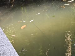 -西湖游船