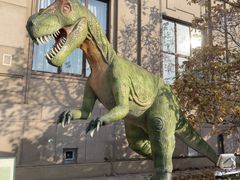 -国家自然博物馆