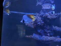 -北海·海洋之窗