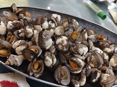 -海角城白海豚浪漫海滩