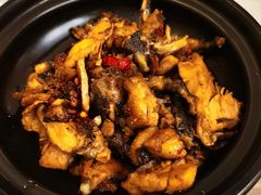 -饭怕鱼·黄焖鲟龙鱼(湖大店)