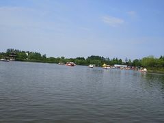 -杭州湾海上花田景区