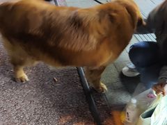 -MARSMART PETS火星宠物超市(1733店)