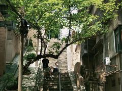 -云溪植物园