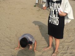 -台场海滨公园船码头