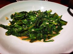 豉汁油麦菜-绿茶餐厅(领展购物广场·中关村店)