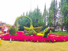 -东平国家森林公园