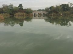 -梁鸿国家湿地公园