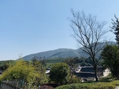 -帐篷客·溪龙茶谷度假酒店