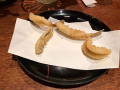 辫子鱼-みかわ是山居