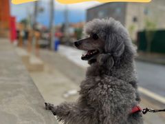 -辛庄国际文化艺术区