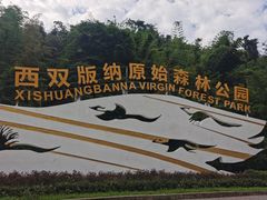 -西双版纳原始森林公园