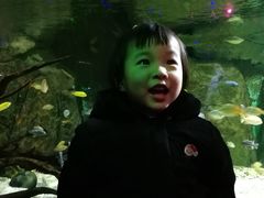 -重庆欢乐海底世界