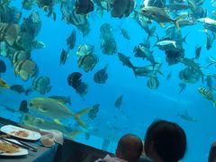 -瑞德姆美人鱼海底演艺主题餐厅(亚龙湾店)