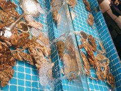 -甄品麦哲伦海鲜和牛自助(万达广场店)