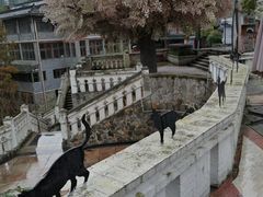 -四川省成都市彭州市白鹿镇