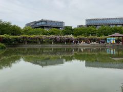 -嘉定紫藤园
