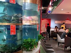 -蜀滋香鲜鱼美蛙火锅(339店)