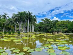 -中国科学院西双版纳热带植物园