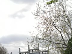 -龙口南山旅游景区