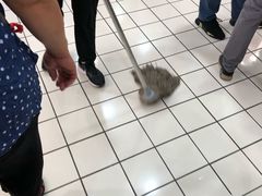 -胖东来生活广场(健康路店)
