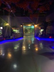 -未来动物城动物主题公园(大悦城店)