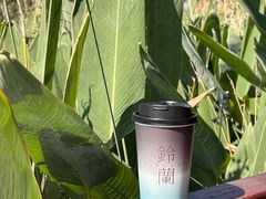 -OH MY TEA 奇妙特饮(天一店)