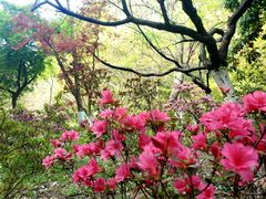 -南山风景名胜区