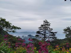-峨眉山风景名胜区