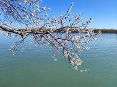 -颐和园