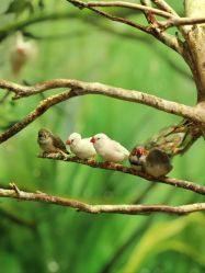 -Zoolung Zoolung动物主题公园(海信广场店)