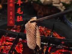 -蜀大侠火锅(四川北路店)