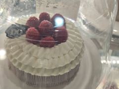 -DQ·蛋糕·冰淇淋(新世纪6F店)