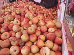 -南坛综合农贸市场